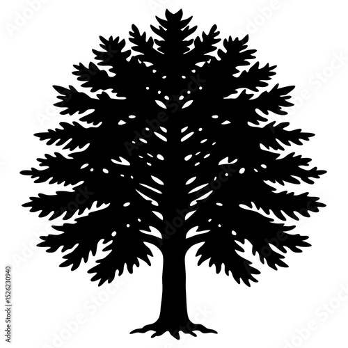 silhouette of a pine tree