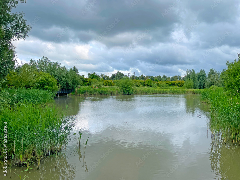 Fototapeta premium The edge of a canal in wetland in a cloudy sky in bright sunlight in springtime, Oostvaardersplassen, Almere, Flevoland, Netherlands, June 07, 2025