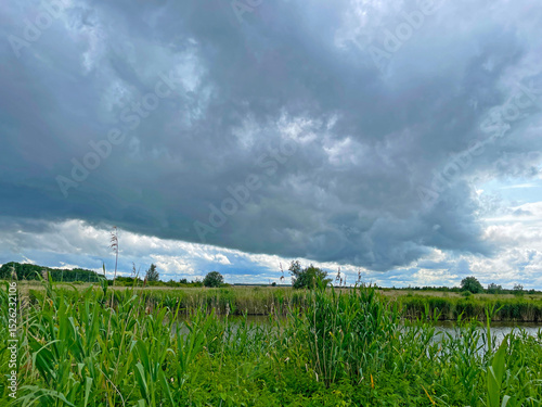 The edge of a canal in wetland in a cloudy sky in bright sunlight in springtime,  Oostvaardersplassen, Almere, Flevoland, Netherlands, June 07, 2025 photo