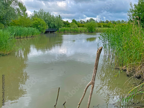 The edge of a canal in wetland in a cloudy sky in bright sunlight in springtime,  Oostvaardersplassen, Almere, Flevoland, Netherlands, June 07, 2025 photo
