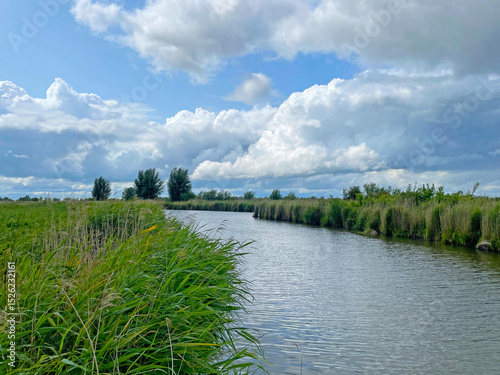 The edge of a canal in wetland in a cloudy sky in bright sunlight in springtime,  Oostvaardersplassen, Almere, Flevoland, Netherlands, June 07, 2025 photo