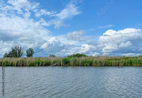 The edge of a canal in wetland in a cloudy sky in bright sunlight in springtime,  Oostvaardersplassen, Almere, Flevoland, Netherlands, June 07, 2025 photo