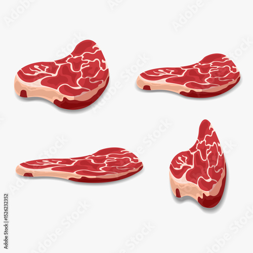 Four cuts of raw beef steak meat vector illustration 10eps