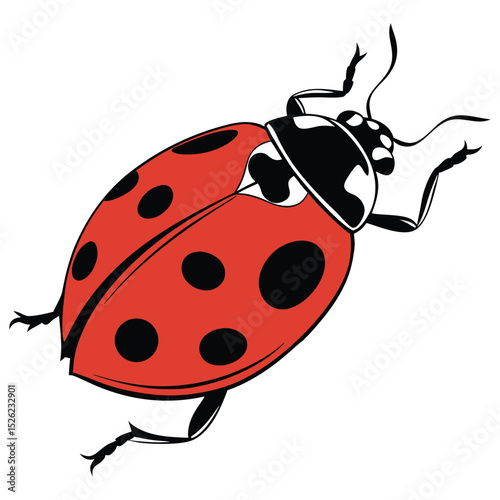 Cute red ladybug insect vector illustration on a white background