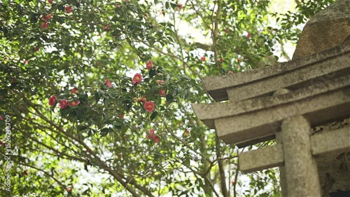 A shrine stands majestically in Fushimi Inari with its stone arches and vibrant pink flowers on the trees