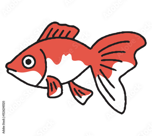 金魚の手描きイラスト