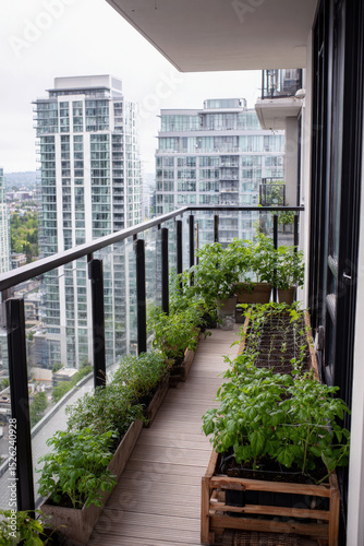 Urban balcony vegetable garden with herbs and plants in containers.