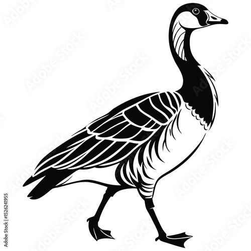 A wild waterfowl goose, isolated on a white background, is a feathered animal often found in nature