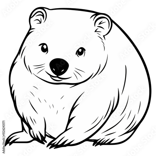 wombat, animal, vector, transparent background, creature, vombatidae, rodent, mammal, wildlife, cute, isolated, nature, zoo, furry