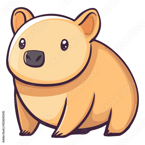 wombat, animal, vector, transparent background, creature, vombatidae, rodent, mammal, wildlife, cute, isolated, nature, zoo, furry