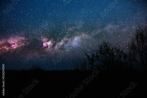Milky Way stars with countryside tree silhouettes.