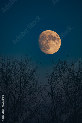 Full Moon, stars, planets and landscape scenery silhouettes.