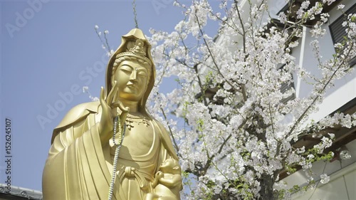 A majestic golden statue of a Bodhisattva stands gracefully in a peaceful garden surrounded by vibrant cherry blossoms during springtime. Fushimi Inari Shrine, Kyoto, Japan
