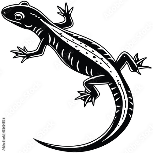 Gecko lizard isolated on white background, a small reptile in nature