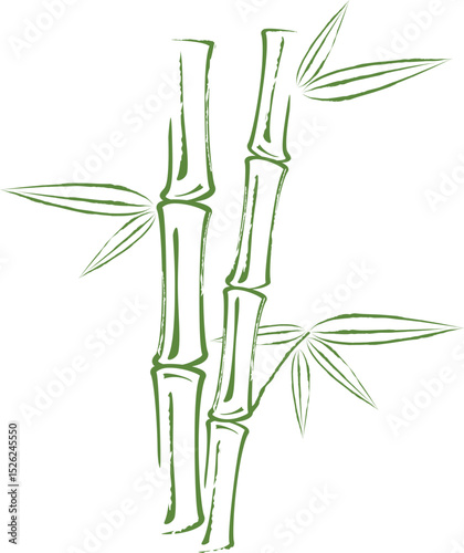 Bamboo grunge style. Bamboo tree and leaves on white background.