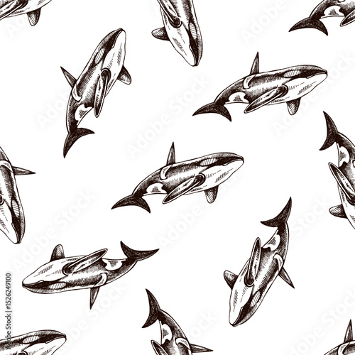 Hand drawn vintage seamless pattern of killer whale in brown ink engraving style, detailed ocean sketch illustration