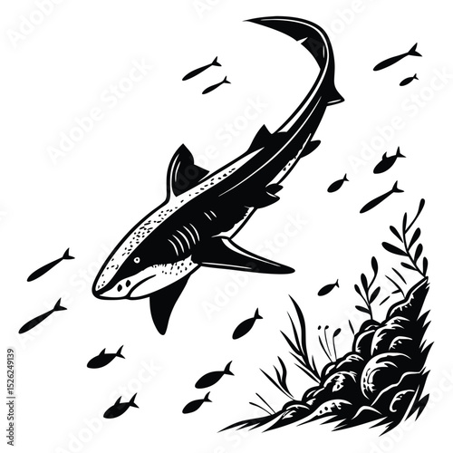 Black and white vector illustration of a fish, perfect for marine life, wildlife, or fishing designs
