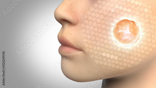 Drop serum to nourish the skin, protect the skin, restore the skin 3D
