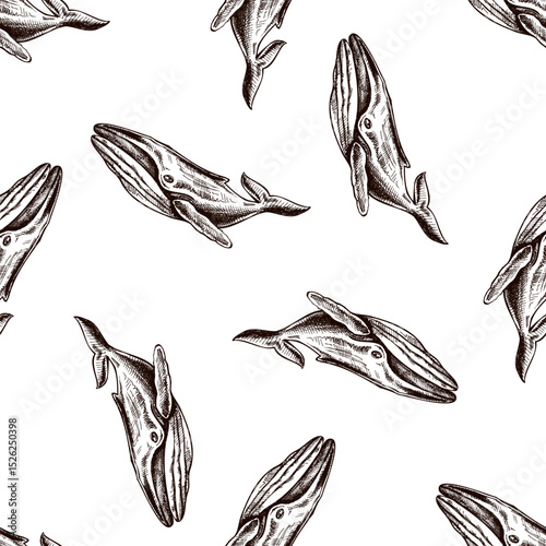Hand drawn vintage seamless pattern of whale in brown ink engraving style, detailed ocean wildlife sketch illustration