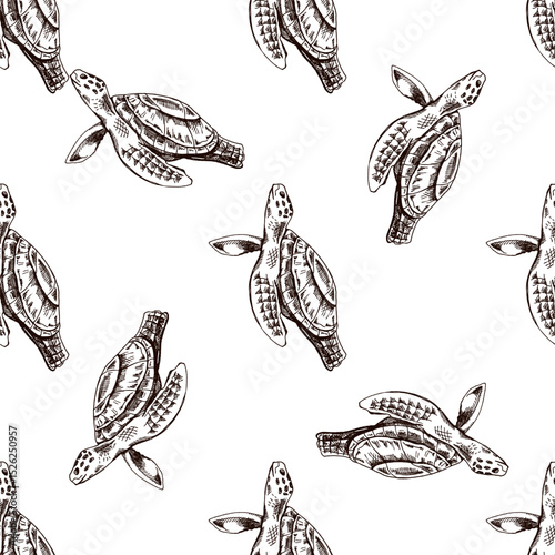 Hand drawn vintage seamless pattern of sea turtle in brown ink engraving style, detailed marine wildlife illustration