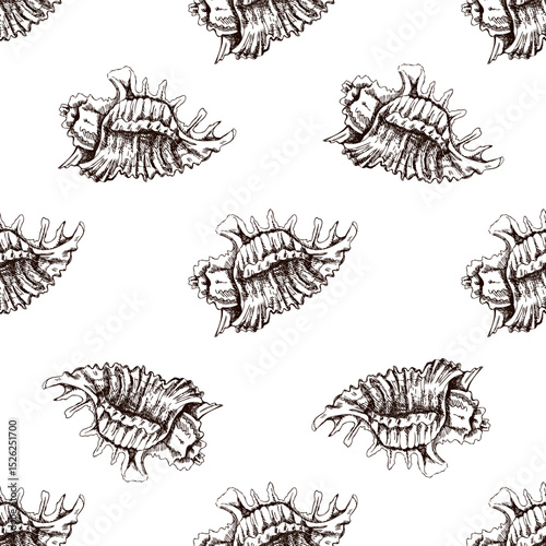 Hand drawn vintage seamless pattern of spiny seashell in brown ink engraving style, detailed marine sketch illustration