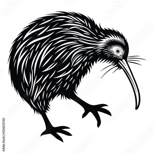 Vector illustration of wild animals including an eagle, hedgehog, and black and white bird