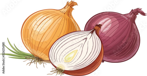 Onion isolated in white background Illustration vector design, Onion vector design