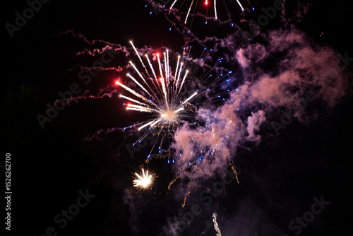 Colorful fireworks exploding in night sky over trees photo