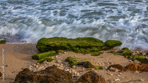 Fototapeta Naklejka Na Ścianę i Meble -  green moss on the rocks