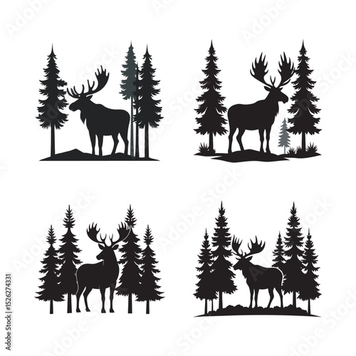 Moose Standing In Pine Forest Clearing