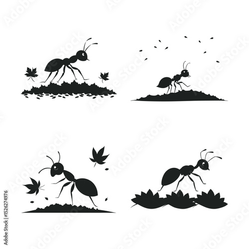 Ant Marching Across Fallen Leaf Path