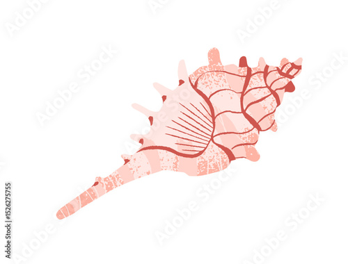 Ocean sea shell with spiral shape. Exotic coiled seashell of mollusk, tropical whelks, clam. Pink horse conch. Decoration from beach. Flat isolated drawing vector illustration on white background