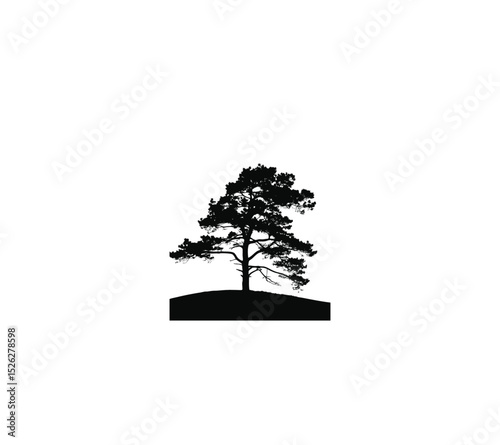 A lone pine tree standing on a hill during sunset silhouette on white background