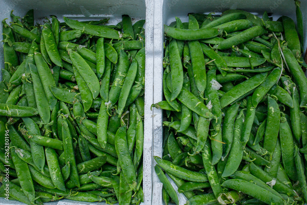 Fototapeta premium Fresh green peas in white boxes sold on food market close up. Legumes for healthy nutrition, dieting, vegetarianism concepts.