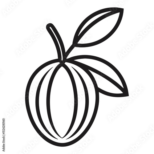 vector illustration of a Ceylon olive