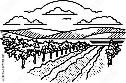 Vineyard landscape illustration hand drawn grape fields, rolling hills, and cloudy sky rural agriculture scene