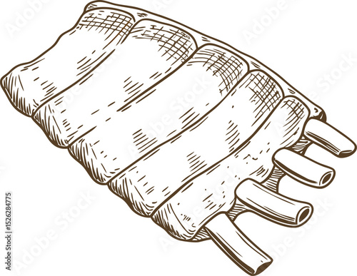 Barbecue pork ribs illustration hand drawn meat cut, rib bones, rustic grilled food, delicious carnivore meal sketch