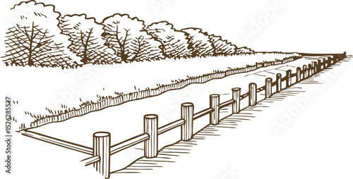 countryside pathway with wooden fence and trees in line art rural road, nature scenery in monochrome illustration