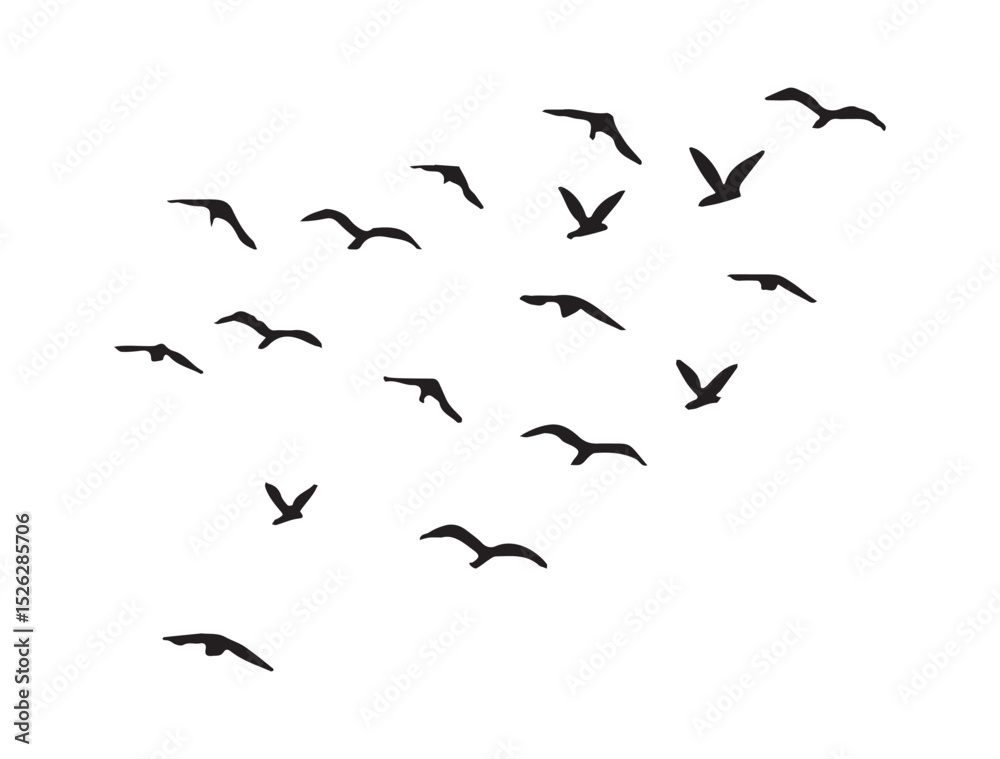 Fototapeta premium Flying Bird Silhouettes Flock Isolated on White Background