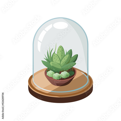 Succulent arrangement under glass dome on a wooden base in a minimalist display