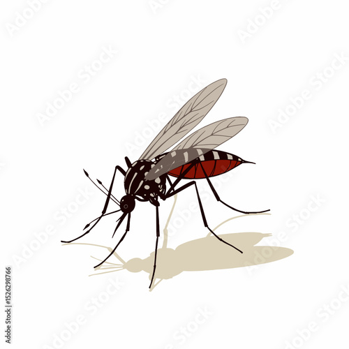 Mosquito with black and red body flying against a white background  