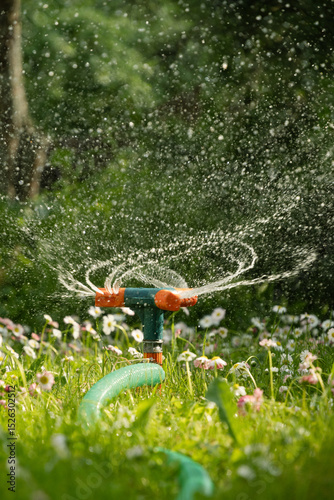 Watering garden with hose. Heat summer. Automatic smart irrigation system. Close up.
