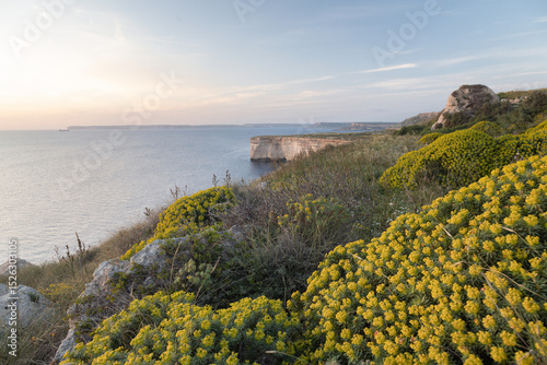 Malta nature view