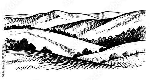 Vector engraving style illustration of a A landscape of rolling hills