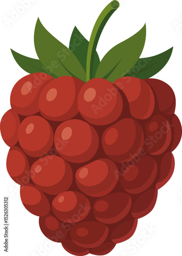 Fresh sweet raspberry. Whole Red berry fruit. Hand drawn summer raspberry trendy flat style isolated for design. Vector illustration