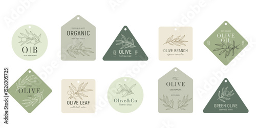 Olive labels with olive branches on color backgrounds in minimal linear style. Vector leaves and olive fruits. Greenery plants and simple frames