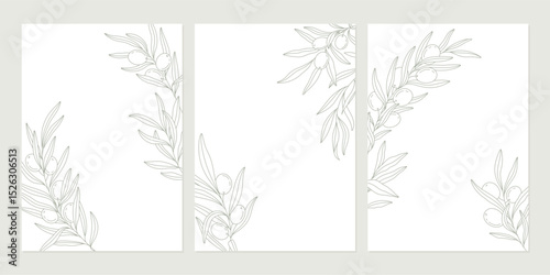 Set of olive posters with olive branches on white backgrounds in minimal linear style. Vector leaves and olive fruits. Greenery plants and simple frames
