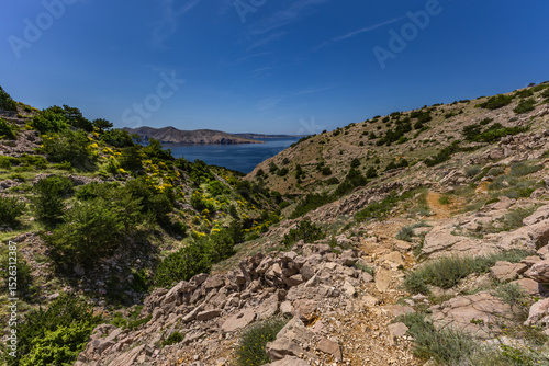 Fototapeta Naklejka Na Ścianę i Meble -  Low walls made of stone built by locals on the trail leading from Baska to Vela Luka beach,