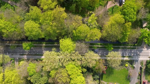 Aerial view of a lush green forest with dense tree canopy, captured from above. The sunlight highlights the vibrant foliage, revealing the beauty and texture of untouched nature.