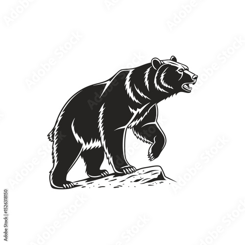 Majestic grizzly bear standing on a rock